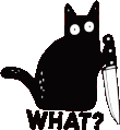 What_Cat emote for Discord