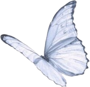 bluebutterfly emote for Discord