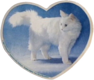 catheart emote for Discord