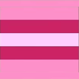other_transfem_flag emote for Discord