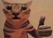 CatYep emote for Discord