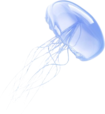 bluejellyfish emote for Discord