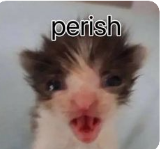 perish emote for Discord