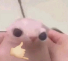someonetellmewhatthisis emote for Discord