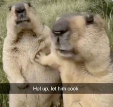 let_him_cook emote for Discord