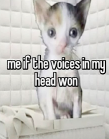 the_voices_in_my_head_won emote for Discord