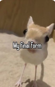 my_final_form emote for Discord
