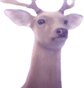 deer_stare emote for Discord