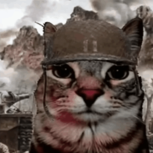 zazuthousandyardstare emote for Discord