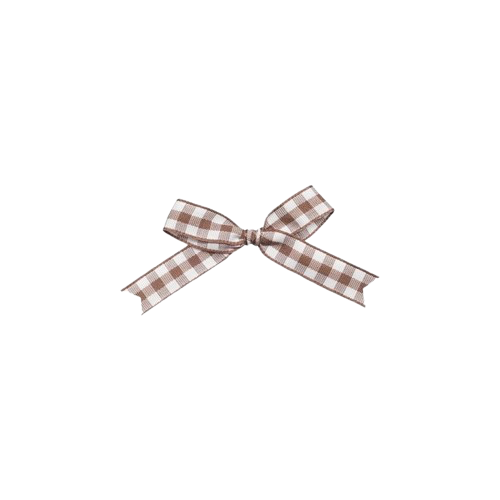 brown_plaidbow emote for Discord