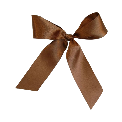 brown_ribbon emote for Discord