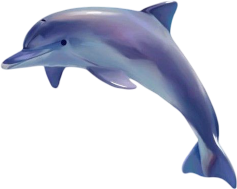 dolphin emote for Discord