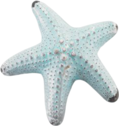 bluestarfish emote for Discord