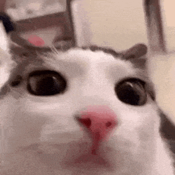 me emote for Discord