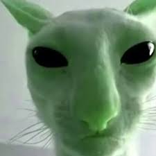 alien_cat emote for Discord