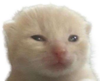 inglorp emote for Discord
