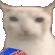 cat_chips emote for Discord