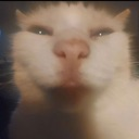 iamfr emote for Discord