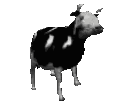 DancingCow emote for Discord