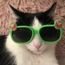 CatGreenGlasses emote for Discord