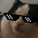 CoolCat emote for Discord