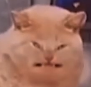 OughWhatTheHell emote for Discord