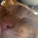 eepycar emote for Discord