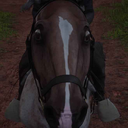 cavalo_assustado emote for Discord