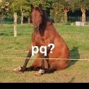 cavalo_pq emote for Discord