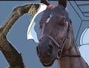 cavalo_confuso emote for Discord