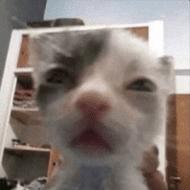depleted emote for Discord