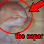 eeper emote for Discord