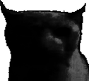 Sadbruhcat emote for Discord