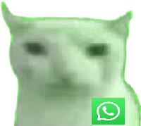 Whatsupbruhcat emote for Discord