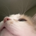 WhatIsAboveMe emote for Discord