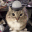 soundthecaralarm emote for Discord