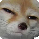 sus_fox emote for Discord