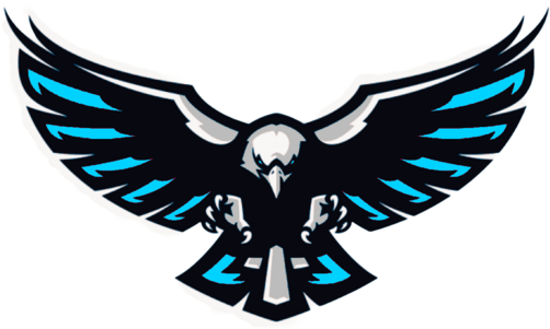 DSM_Eagle emote for Discord