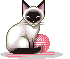 CatYarn emote for Discord