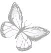 ButterflyWhite emote for Discord