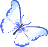 ButterflyBlue1 emote for Discord