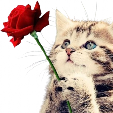 giverose emote for Discord