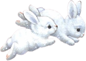 White_bunnies emote for Discord