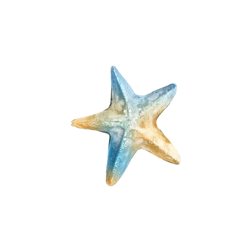 starfish emote for Discord