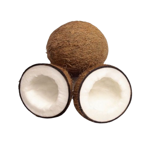 coconuts emote for Discord