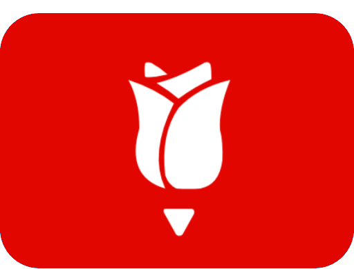 socdem_flag emote for Discord