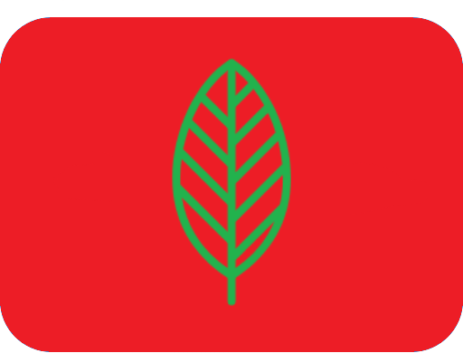 ecosoc_flag emote for Discord