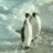 Penguinslaps emote for Discord