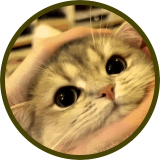 dianbo_coin emote for Discord