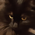 bunny_judge emote for Discord